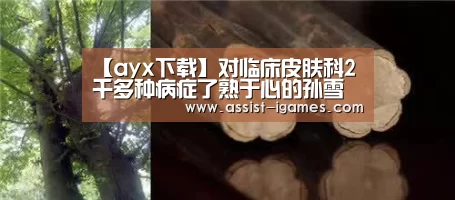 ayx下载