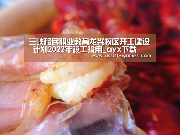爱游戏棋牌