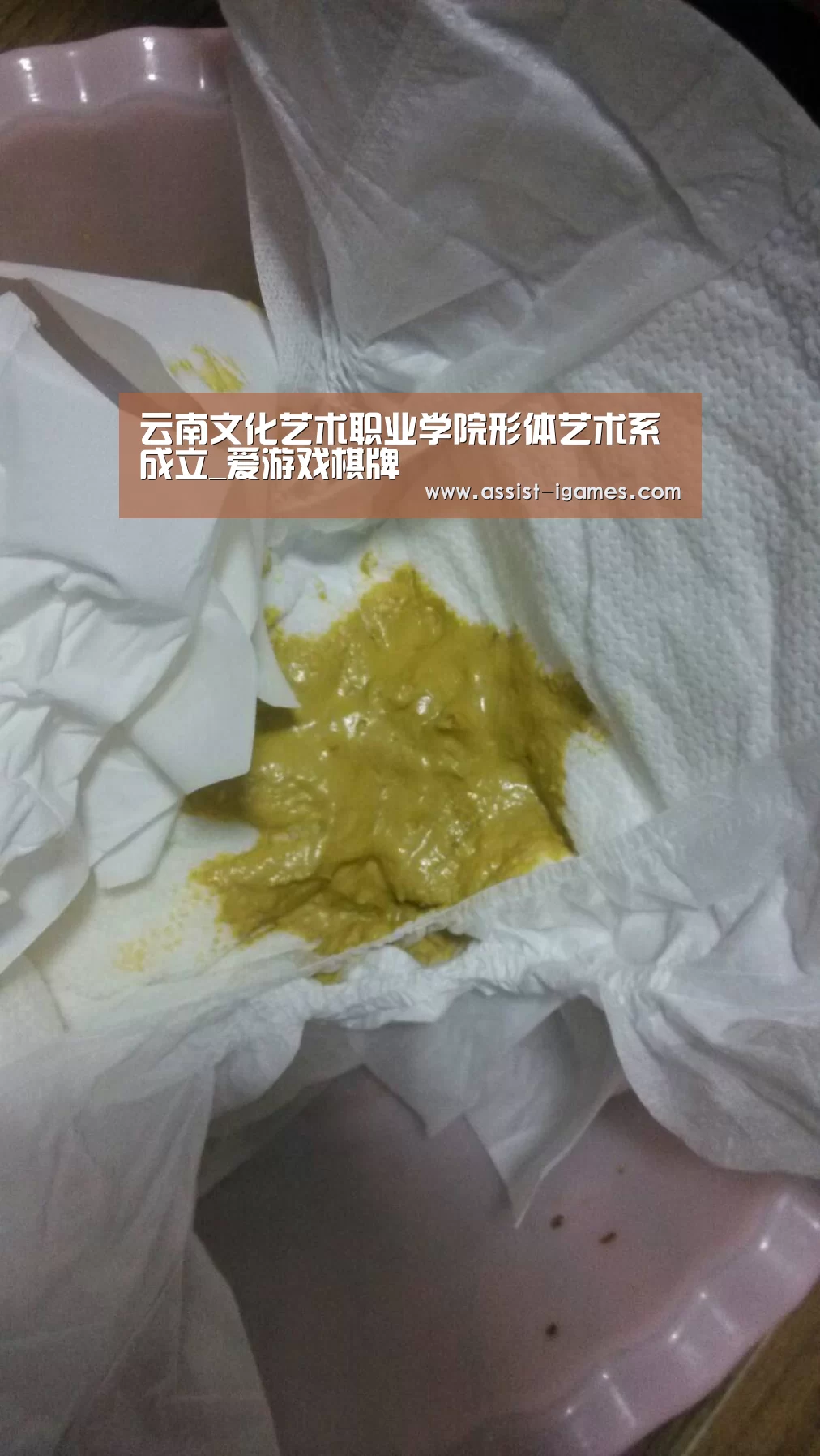 云南文化艺术职业学院形体艺术系成立_爱游戏棋牌