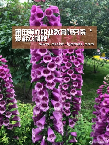 莆田筹办职业教育研究院‘爱游戏棋牌’